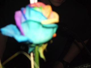 dscf1598.jpg