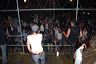 bild_295