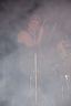 bild_341